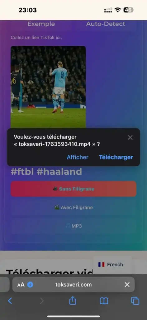  télécharger une vidéo TikTok sans filigrane